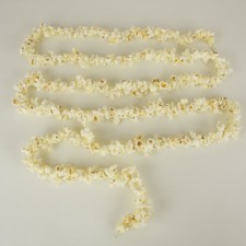 9' POPCORN ON A STRING
