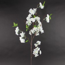 50"CHERRY BLOSSOM BRANCH CRM