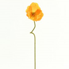 26" POPPY X1 ORANGE