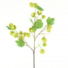 26"HOPS SPRAY X20 VINT.GREEN