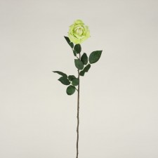 27.5" OPEN ROSE X1 GREEN