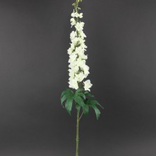 50" GIANT DELPHINIUM
