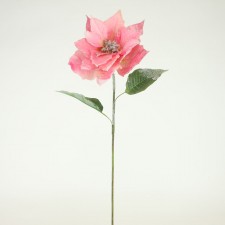 28"GLT EDGE POINSETTIA STEM
