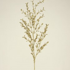 30"GLT IRID BOXWOOD SPRAY X4