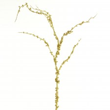 48"LSR GLT.CURLY WILLOW SPRAY