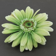 5"GRBRA DAISY HEAD FLTING A4