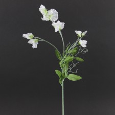 24" SWEET PEA SPRAY X3