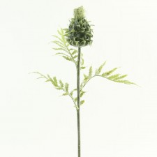 30" THISTLE STEM X 1