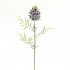 30" THISTLE STEM X1