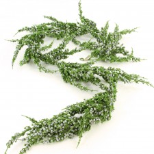 JUNIPER BERRY GARLAND NATURAL