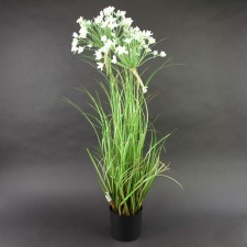32"LEEK FLOWER GRASS POTTED
