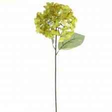 29"HYDRANGEA X1 GRN/BRN A4 B18