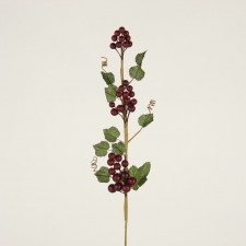 18" GRAPE CLUSTER SPRAY X36
