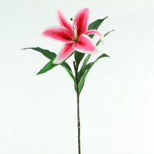 31" IMPERIAL CASABLANCA LILY
