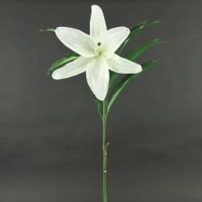 31"IMPERIAL CASABLANCA LILY