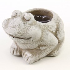 5.5"CEMENT FROG PLANTER