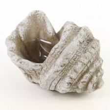 6.5"X5"X4.25"CEMENT SEASHELL