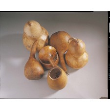 GOURDS NATURAL