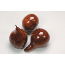 GOURDS BURNT OAK