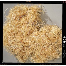RIBBON EXCELSIOR 8OZ NATURAL