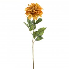 30" DAHLIA MUSTARD