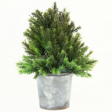CEDAR TREE PLACE CRD HLDR A25