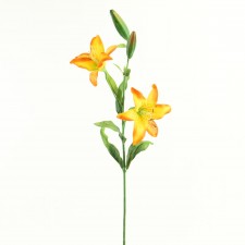 TIGER LILY X2 W/BUD ORANGE