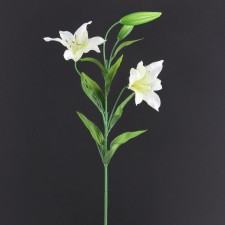 32"TIGER LILY W/BUD A25 B4