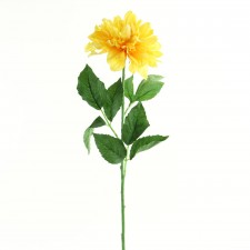 30" DAHLIA X1 GOLD
