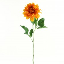 30" DAHLIA X1 TANGERINE