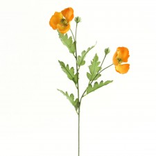 24" POPPY X2 GOLD