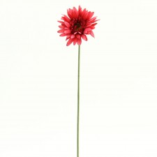 21.5" GERBERA CERISE B5