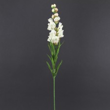 29" SNAPDRAGON B12
