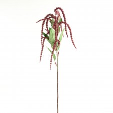 34"AMARANTHUS STEM BURG A25