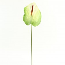 32" ANTHURIUM LG A4