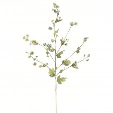 DAISY ASTER SPRY VINTAGE A25