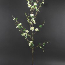 60"QUINCE BLOSSOM BRNCH A25