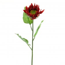 SUNFLOWER A5 B15