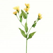 15.75"ALPINE DAISY B5