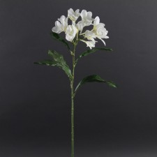 30"FRANGIPANY SPRAY A5 B17