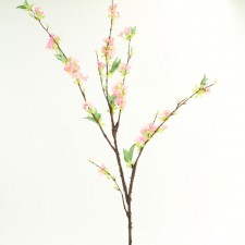60" CHERRY BLOSSOM BRNCH A25