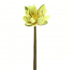 20"WATER LILY GREEN/BURG A25