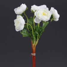 MINI RANUNCULUS BUNDLE