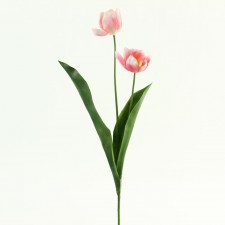 MINI TULIP SPRAY PINK B6