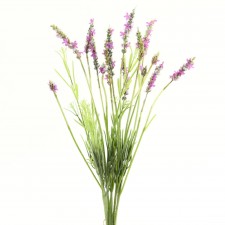 FR.LAVENDER BUNDLE