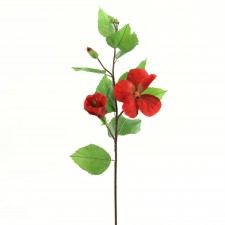 HIBISCUS DARK RED A25
