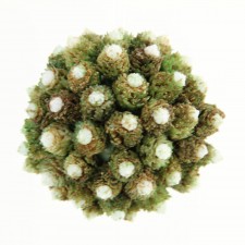 4" CLOVER ORB GREEN