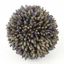 4" LAVENDER ORB DK.BLUE