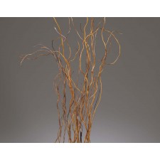3-5' CURLY WILLOW NATURAL
