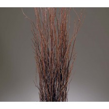 3'-4' BIRCH BRANCHES X25 NATUR